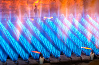 Saunton gas fired boilers